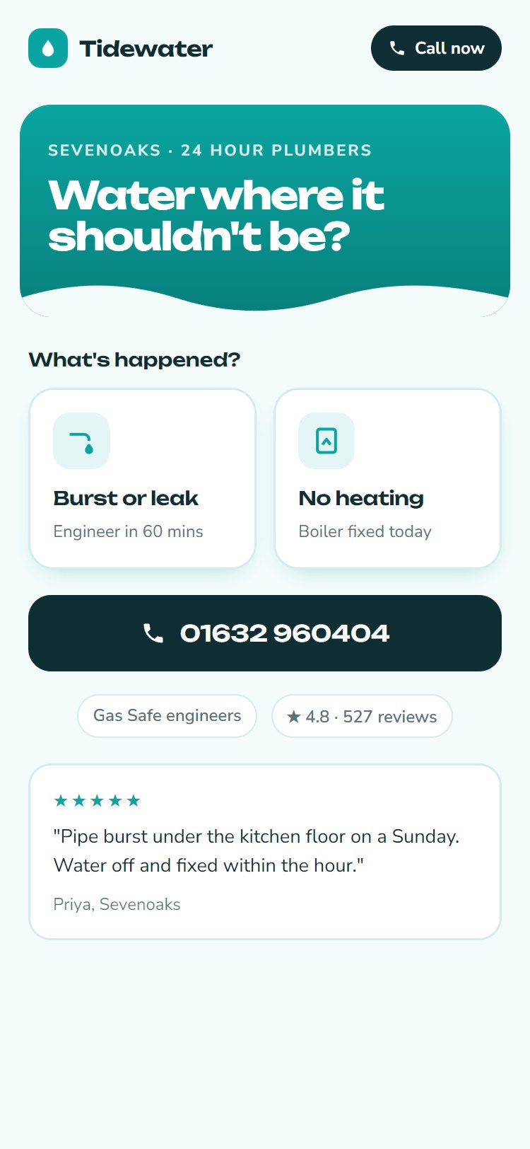 Plumbing lead page: teal design with leak and no-heating options